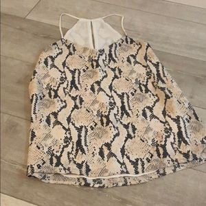 Express snake skin top